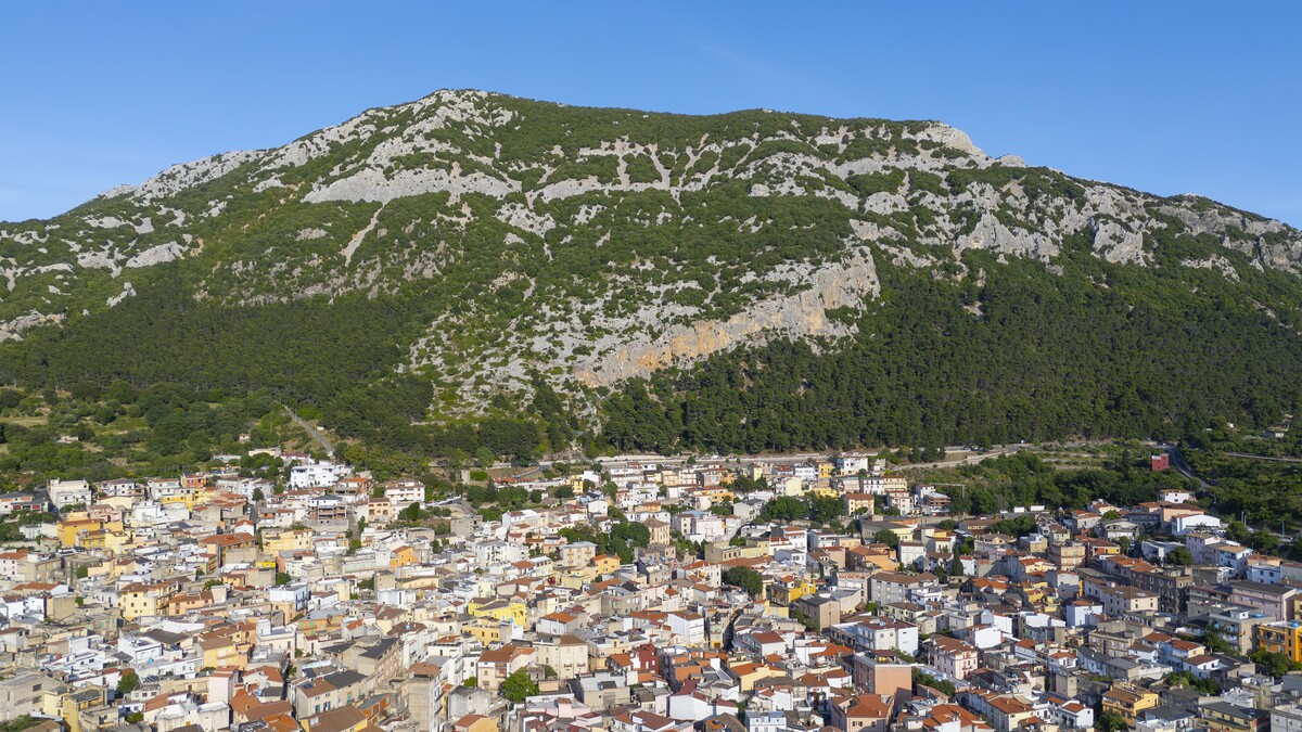 Aerial view of Dorgali with the limestone mountain behind and the colourful old town, central-eastern Sardinia