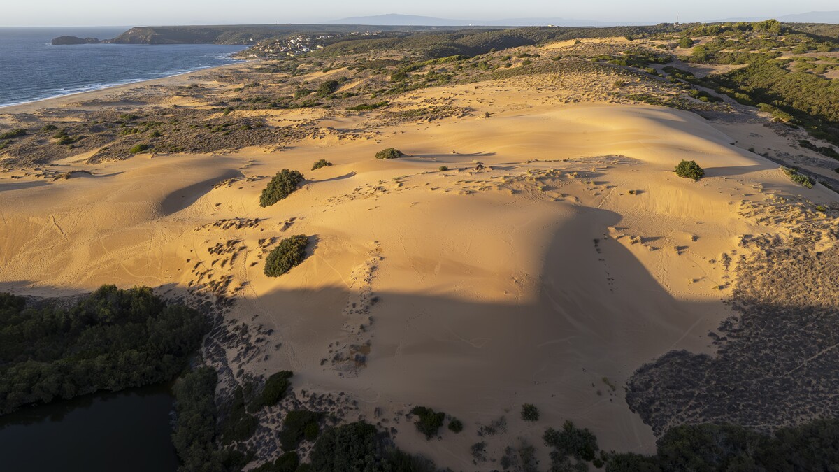 The Piscinas dunes in the golden light of sunset, the &laquo;Sardinian Sahara&raquo; near Torre dei Corsari